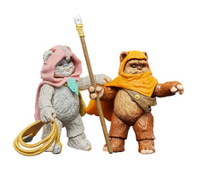 Star Wars - Vintage Collection - Ewoks - Wicket & Kneesaa