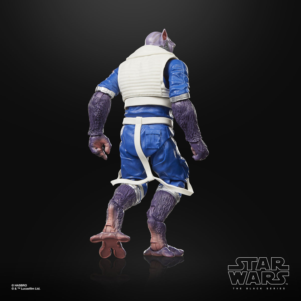 PreOrder Star Wars: The Mandalorian & Grogu Black Series Actionfigur Garazeb “Zeb” Orrelios 15 cm