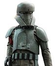 Star Wars The Mandalorian Actionfigur 1/6 Transport Trooper 31 cm