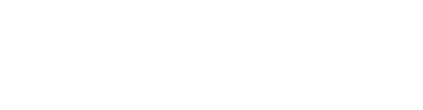Nemesis Now Logo